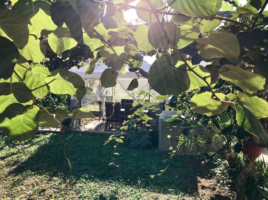 Garden Cozy Apartment Ζαντάρ Εξωτερικό φωτογραφία
