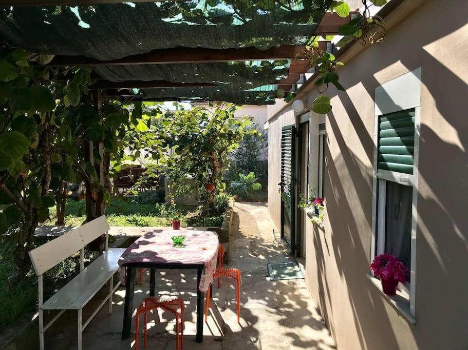 Garden Cozy Apartment Ζαντάρ Εξωτερικό φωτογραφία